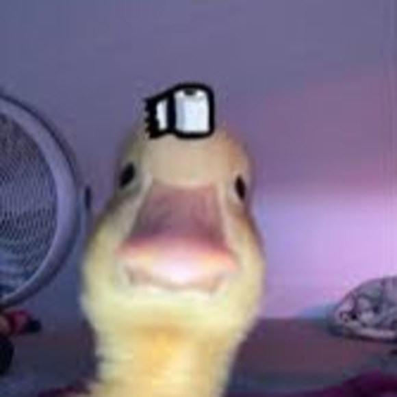 edwainerb